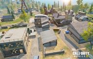 Image via Activision Games Blog